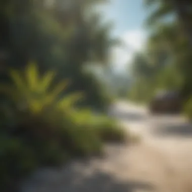 Lush vegetation and unique flora found on one of the lesser-known islands