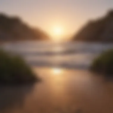 Sunset over a tranquil beach with silhouettes of coastal vegetation