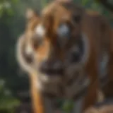 A majestic tiger in its natural habitat showcasing its powerful physique