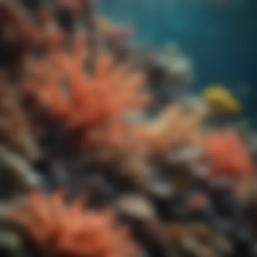 A vibrant coral reef teeming with diverse marine life