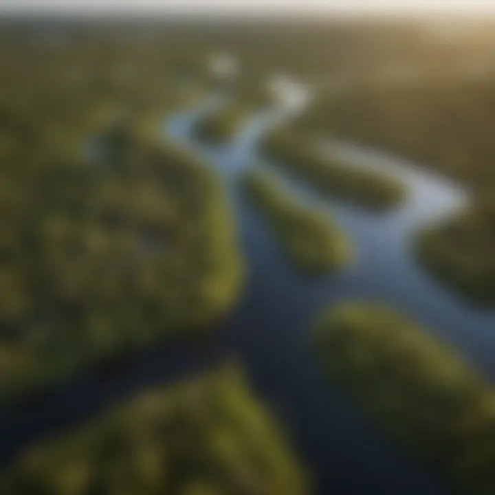 An aerial view of the Everglades illustrating the intricate waterways and wetlands