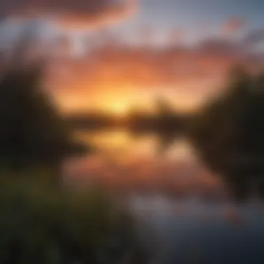 A scenic image capturing the beauty of the Everglades at sunset