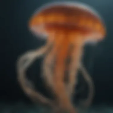 A vibrant jellyfish floating gracefully in the ocean