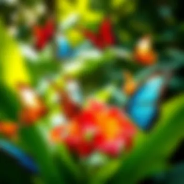 A group of colorful butterflies fluttering around tropical flowers