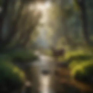 Stunning natural landscape of a national park