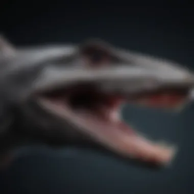 Distinctive Anatomy of the Goblin Shark Goblin shark showcasing its distinctive elongated snout and unique jaw structure