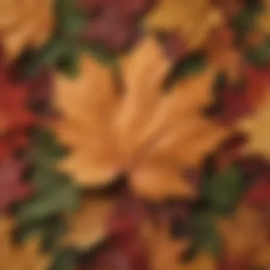 A vibrant maple leaf in autumn, symbolizing Canada's rich cultural heritage and natural beauty.