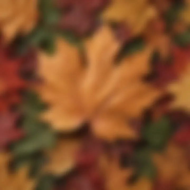 A vibrant maple leaf in autumn, symbolizing Canada's rich cultural heritage and natural beauty.
