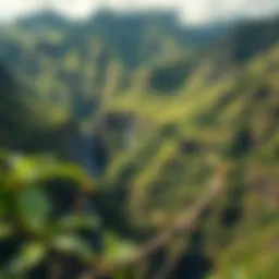 Lush tropical landscapes of Kauai featuring dramatic cliffs and waterfalls