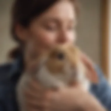 Intimacy in Silence: A small rabbit nestled snugly in the arms of a loving owner