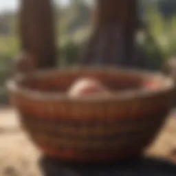 Traditional woven basket symbolizing indigenous craftsmanship