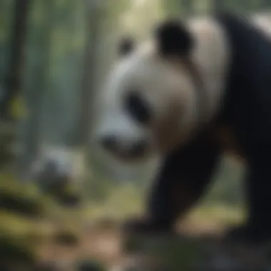 Exploring the Natural Habitat of Pandas Summary Exploring the Natural Habitat of Pandas Summary