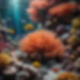A vibrant coral reef bustling with colorful fish.