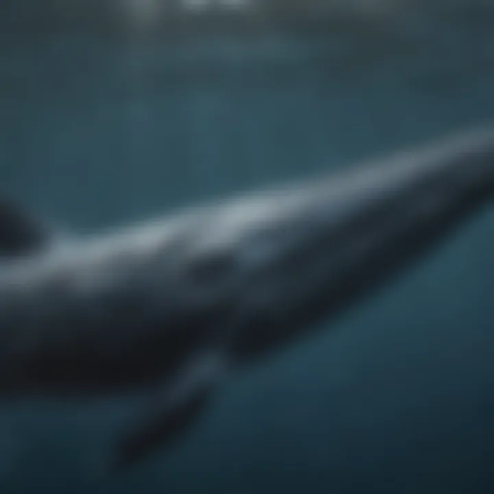 A majestic humpback whale swimming gracefully in the ocean.
