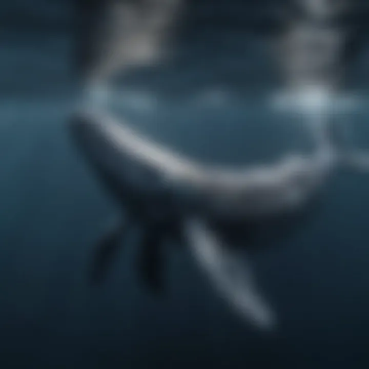 Majestic whale swimming in the deep blue sea