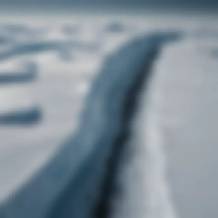 Aerial view of the Antarctic ice shelf showing its vastness