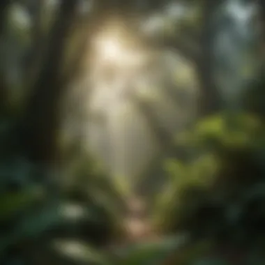 The Lush Canopy of Rainforests A panoramic view of a pristine rainforest canopy under bright sunlight filtering through the leaves.