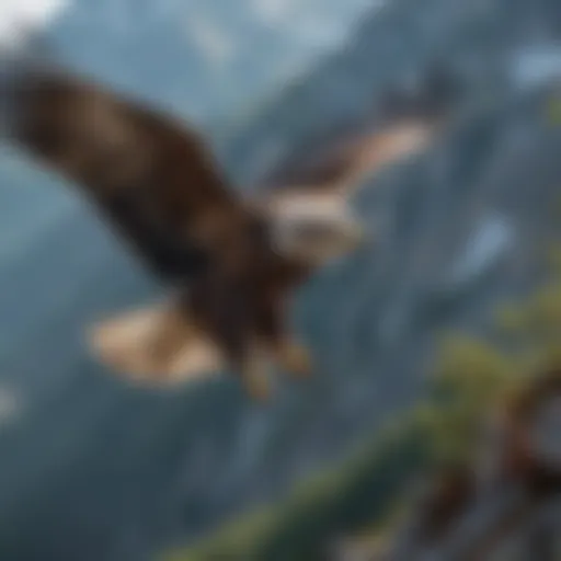 Majestic eagle soaring over the French Alps