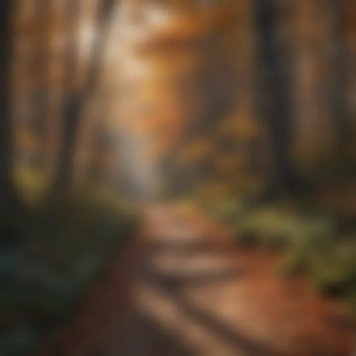 An enchanting forest trail in the Appalachian Mountains during autumn.