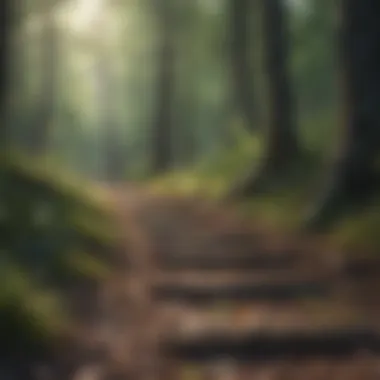 Scenic hiking trails in Minnesota's forests