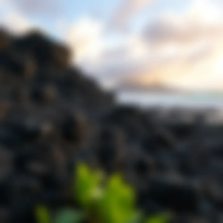 Volcanic formation on the Big Island showcasing lava rock