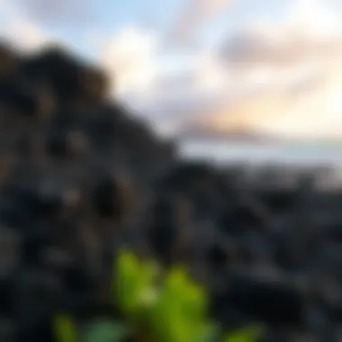 The Majesty of Big Island's Volcanoes Volcanic formation on the Big Island showcasing lava rock