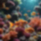 A vibrant coral reef bustling with colorful fish