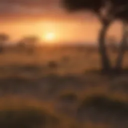 Stunning view of the Maasai Mara landscape at sunset.