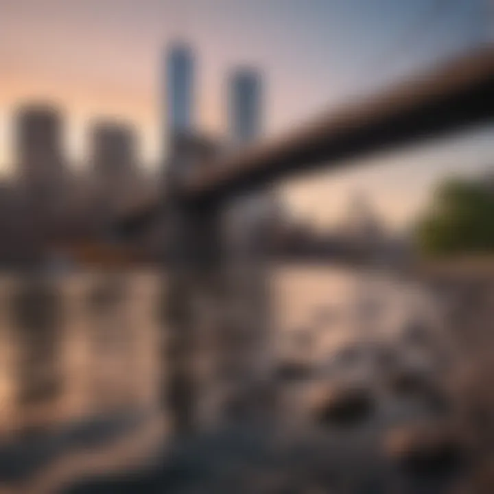 A stunning skyline view with the East River and its surrounding natural habitat.