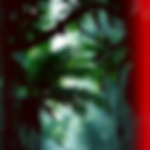 A vibrant rainforest canopy teeming with life.