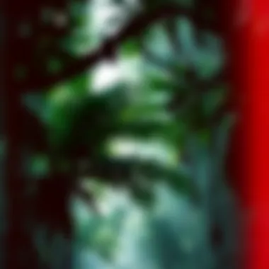 The Lush Canopy of Rainforests A vibrant rainforest canopy teeming with life.