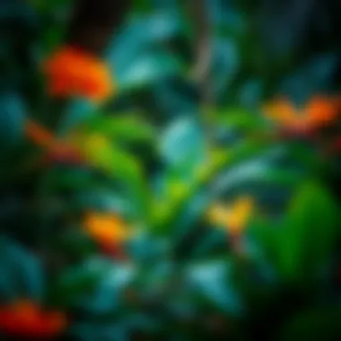 Biodiversity of Tropical Flora A diverse array of tropical flora in a rainforest.