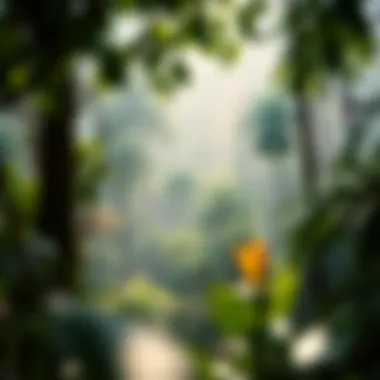 A visual representation of threats facing rainforests.
