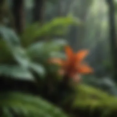 Flora of the Rainforest: Nature's Palette A vibrant scene of various rainforest plants