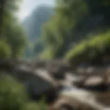 Lush Green Mountains of West Virginia