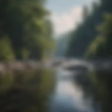 Scenic River in West Virginia