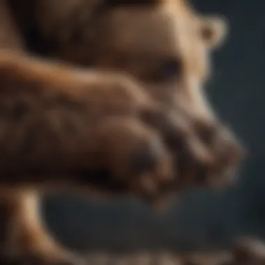 Close-up of a brown bear showcasing its powerful claws
