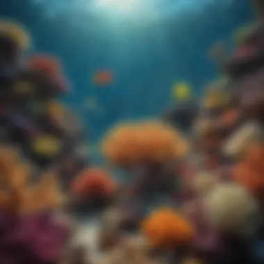 The vibrant colors of the Great Barrier Reef, teeming with marine life.