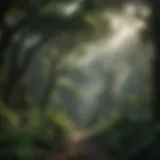 Diverse tree canopy of a tropical rainforest