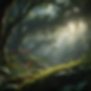 Canopy layer of a rainforest showcasing rich flora