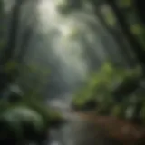 Lush greenery of a tropical rainforest