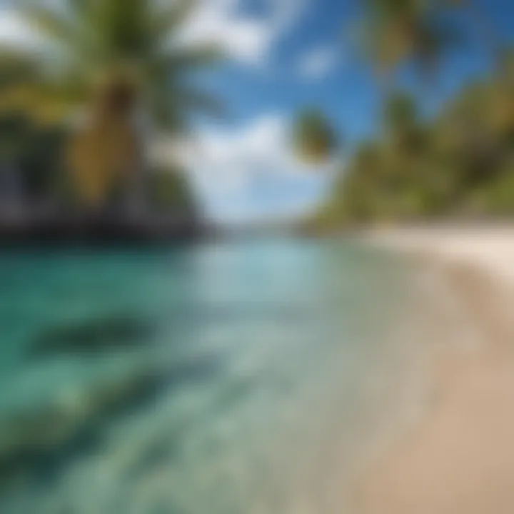Crystal clear waters and palm trees on a pristine beach in the US Virgin Islands