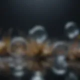 Crystal Clear Water Droplets
