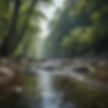 Natural River Landscape Pristine river flowing through West Virginia's natural beauty