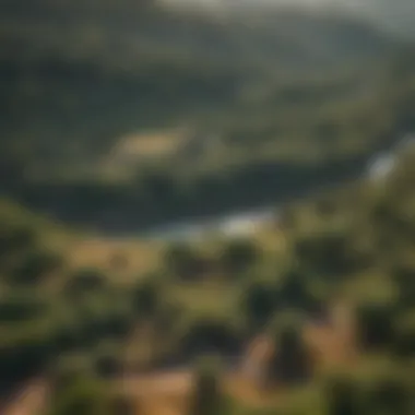 Aerial View of Indian Biodiverse Landscape
