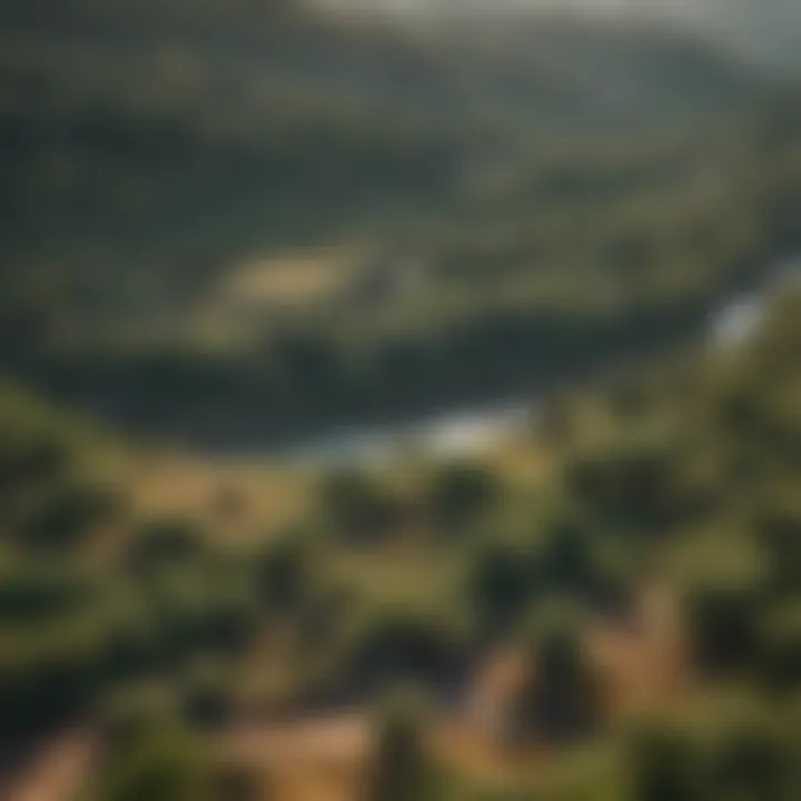 Aerial View of Indian Biodiverse Landscape