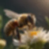 Elegant bee collecting nectar from a flower