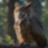 Great Horned Owl perched majestically on a branch
