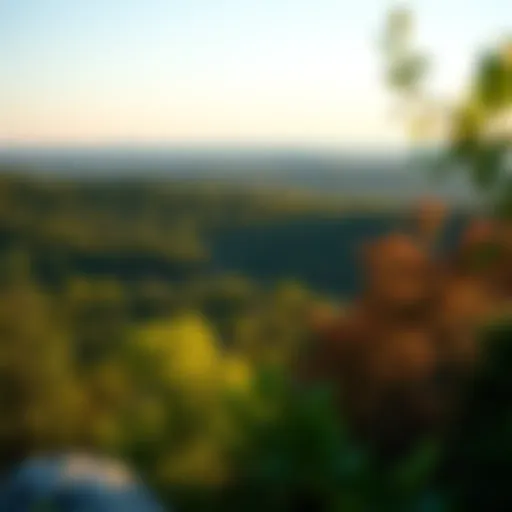 Panoramic view of Alabama's lush landscapes