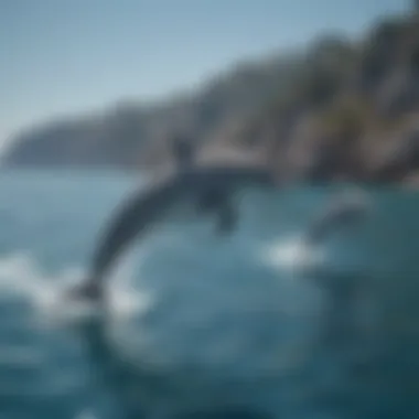 A playful scene of dolphins swimming in the clear blue waters of the Aegean Sea
